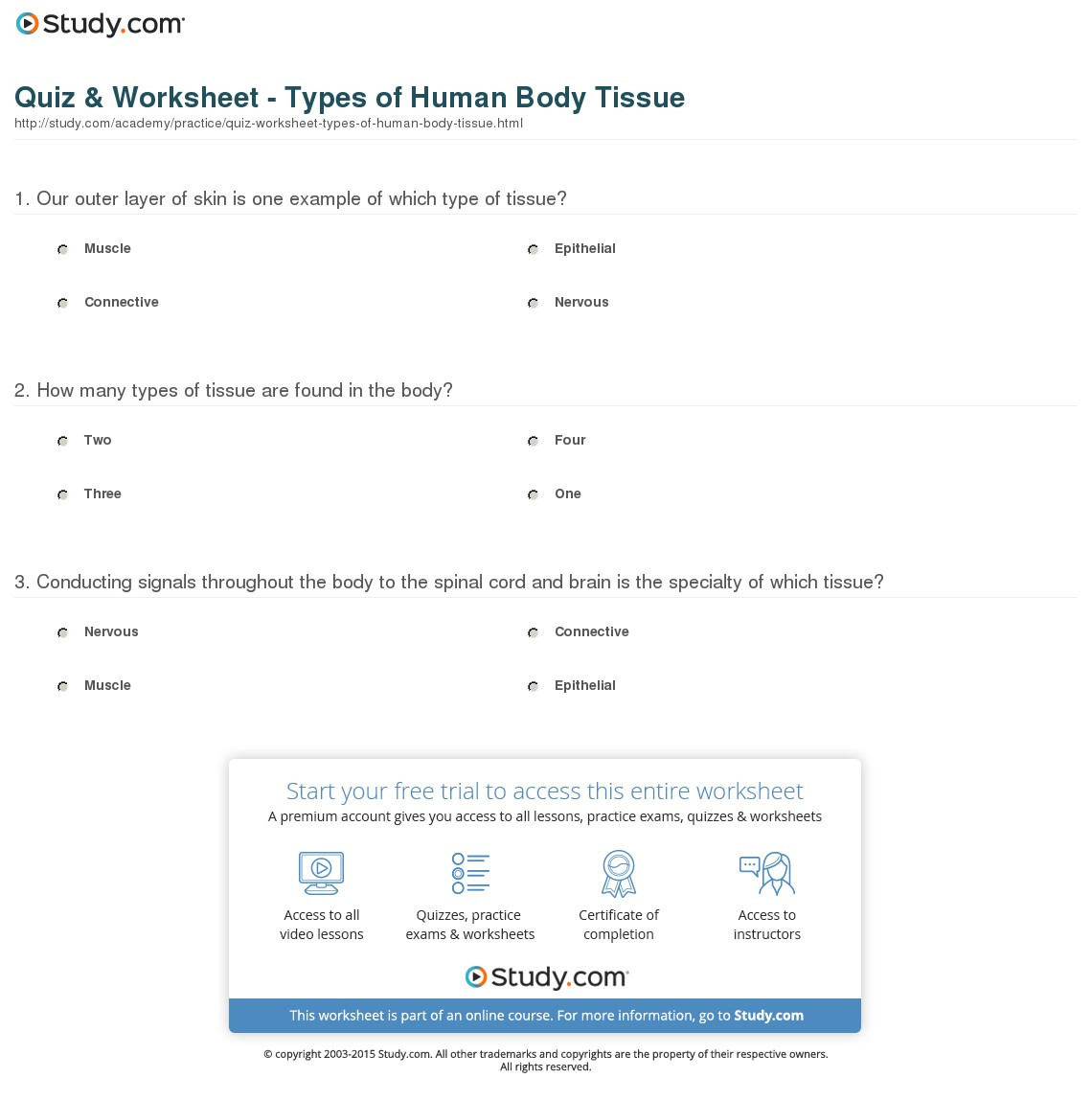 Quiz  Worksheet  Types Of Human Body Tissue  Study