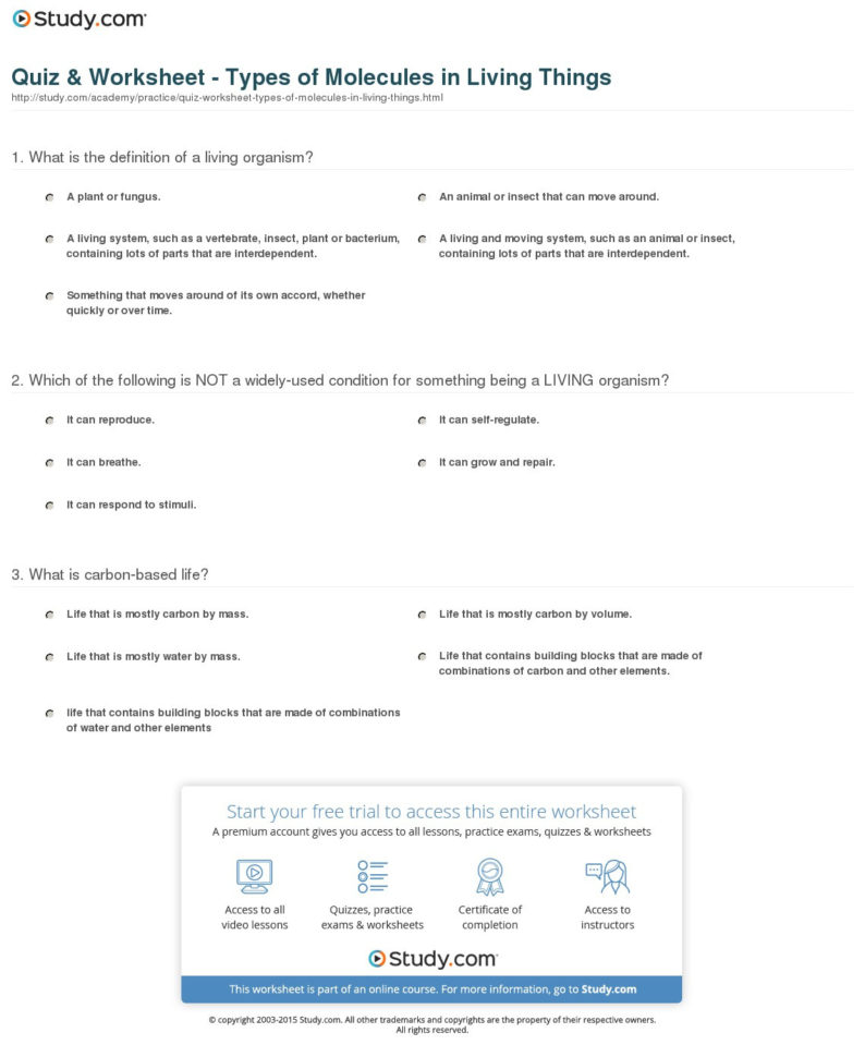 Quiz  Worksheet  Types Of Molecules In Living Things