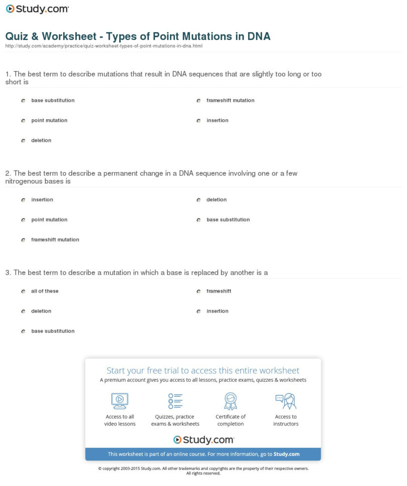 Quiz  Worksheet  Types Of Point Mutations In Dna  Study