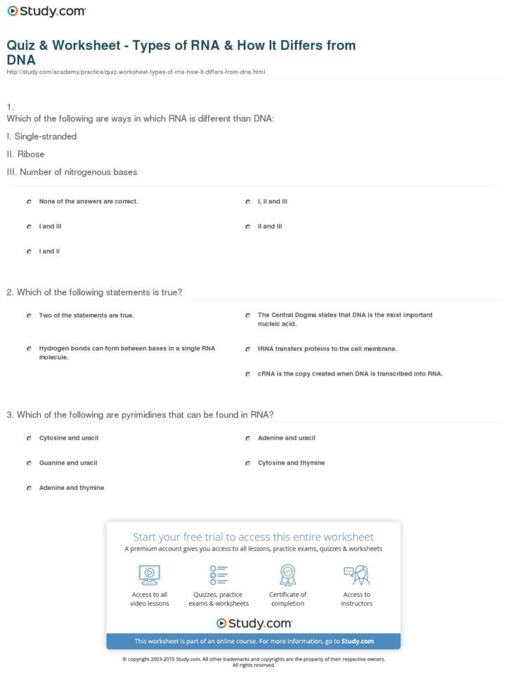Quiz  Worksheet  Types Of Rna  How It Differs From Dna