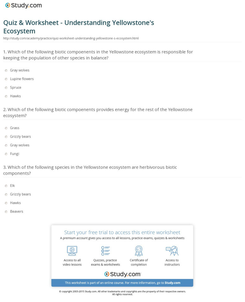Quiz  Worksheet  Understanding Yellowstone's Ecosystem  Study