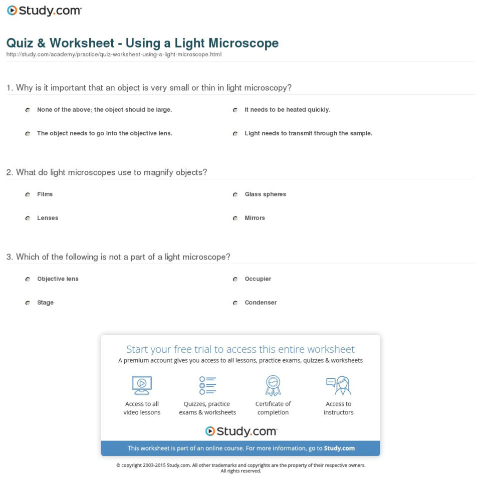 Quiz  Worksheet  Using A Light Microscope  Study