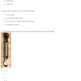 Quiz  Worksheet  Using A Spring Scale  Study