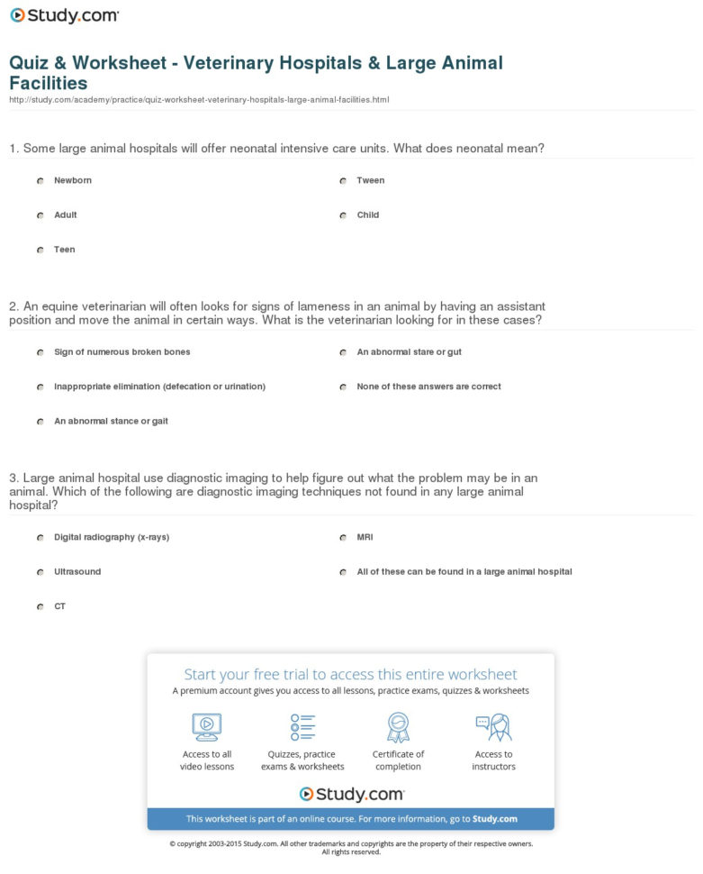 Veterinary Math Worksheets Db excel