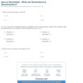 Quiz  Worksheet  What Are Numerators  Denominators