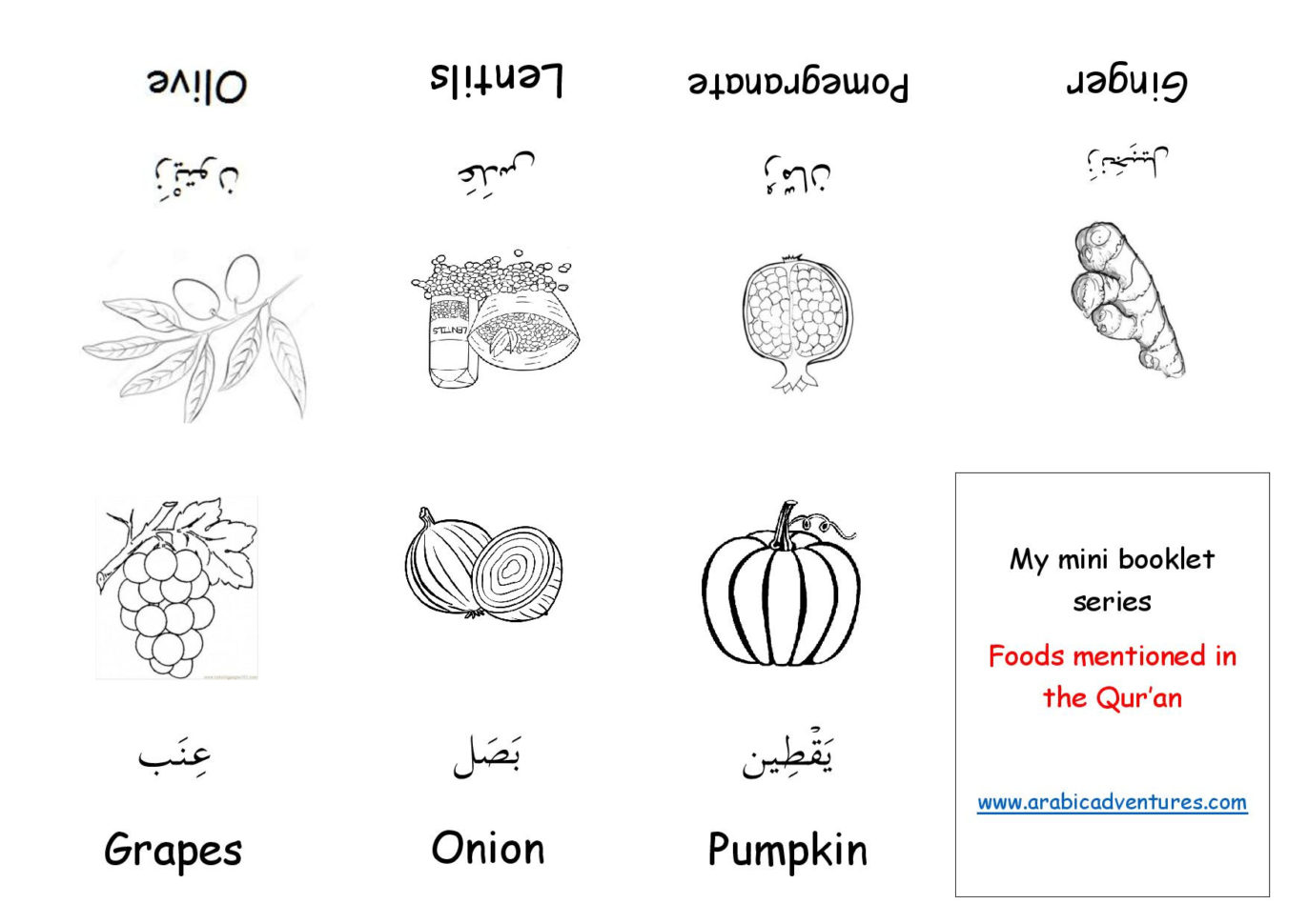 Quran Worksheets For Kids  Gambar Islami