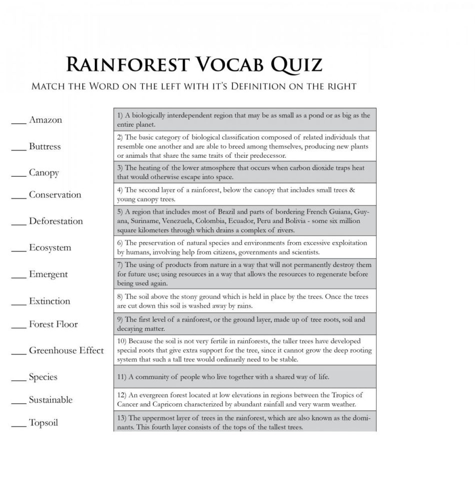 Rainforest Games And Worksheet Activities Save The