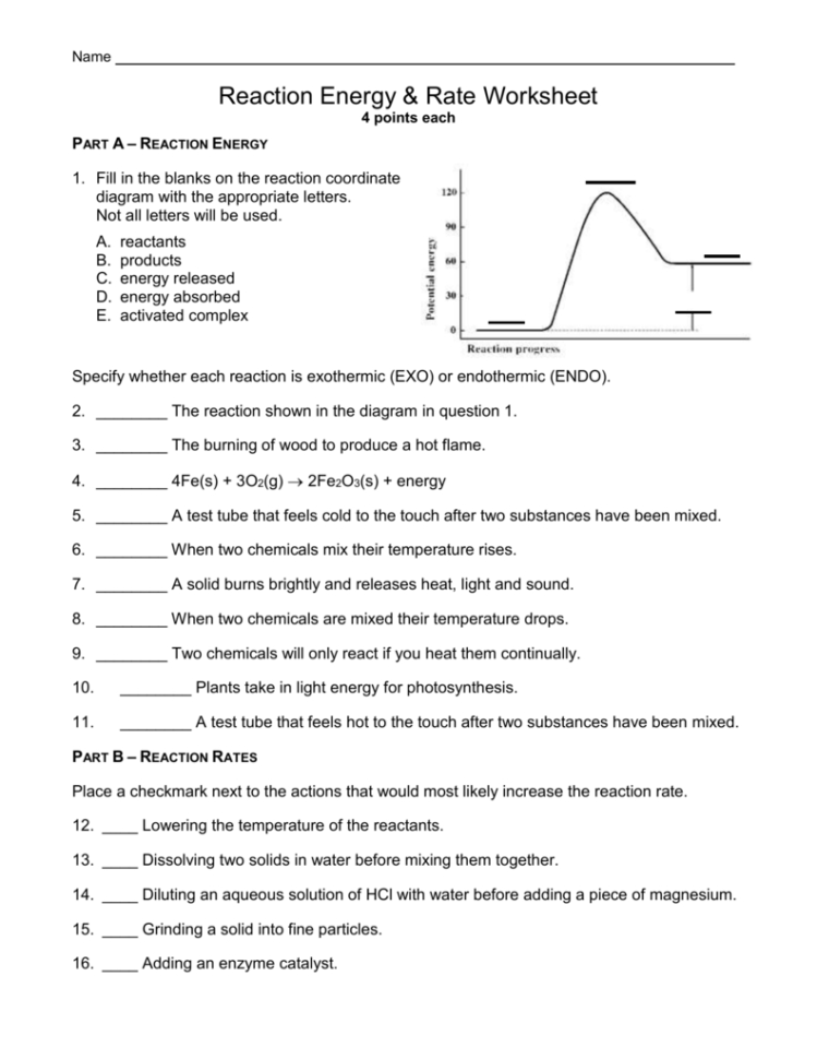 Reaction Energy  Rates Worksheet
