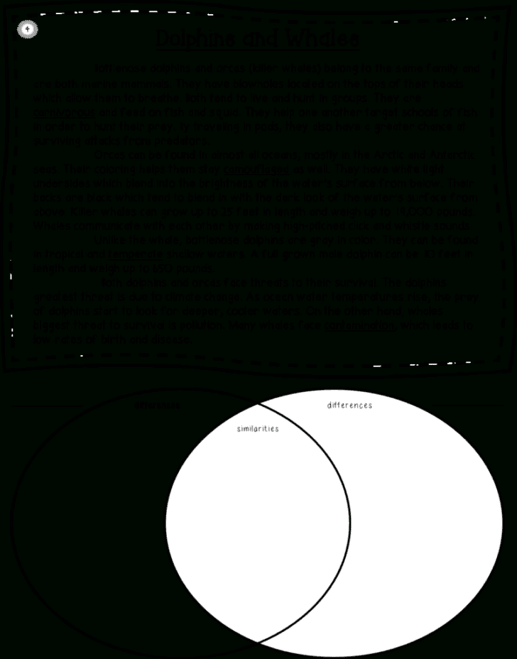 Reading Comprehension Worksheets 4Th Grade