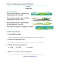 Reading Comprehension Worksheets For 1St Grade