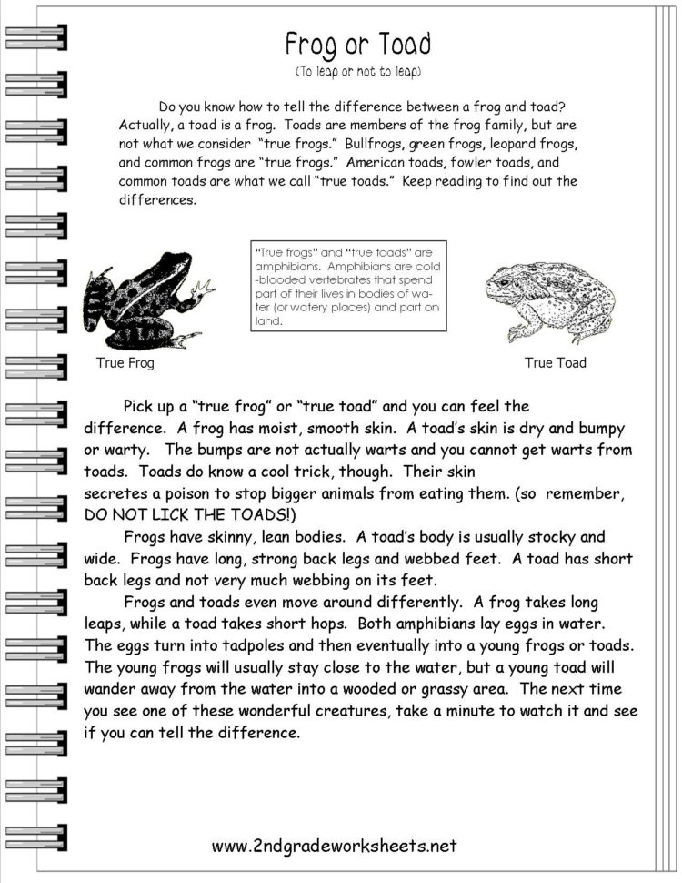 Reading Informational Text Worksheets