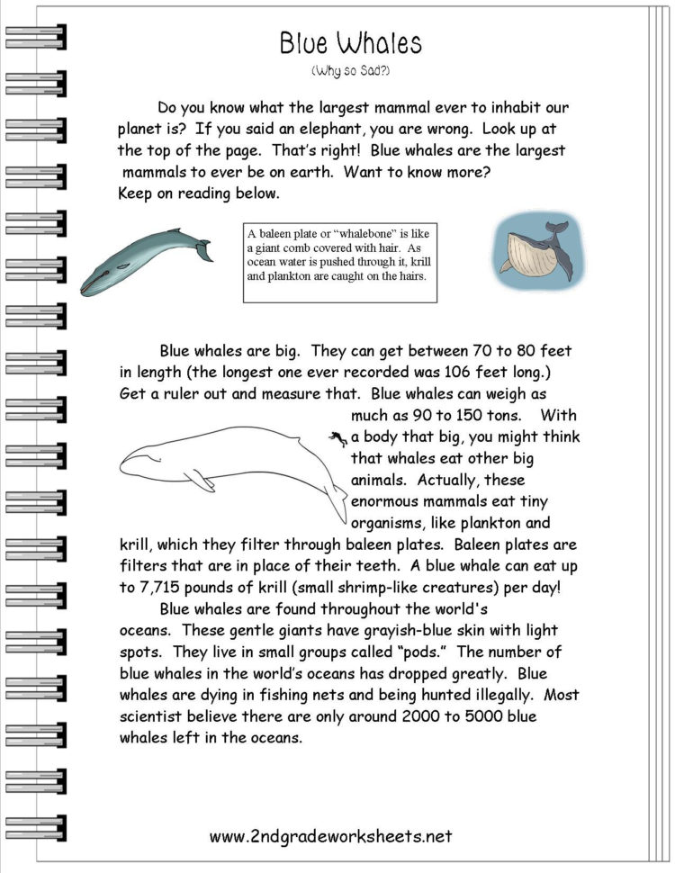 Reading Informational Text Worksheets