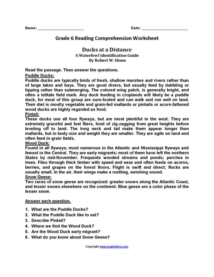 Reading Worksheets  Sixth Grade Reading Worksheets
