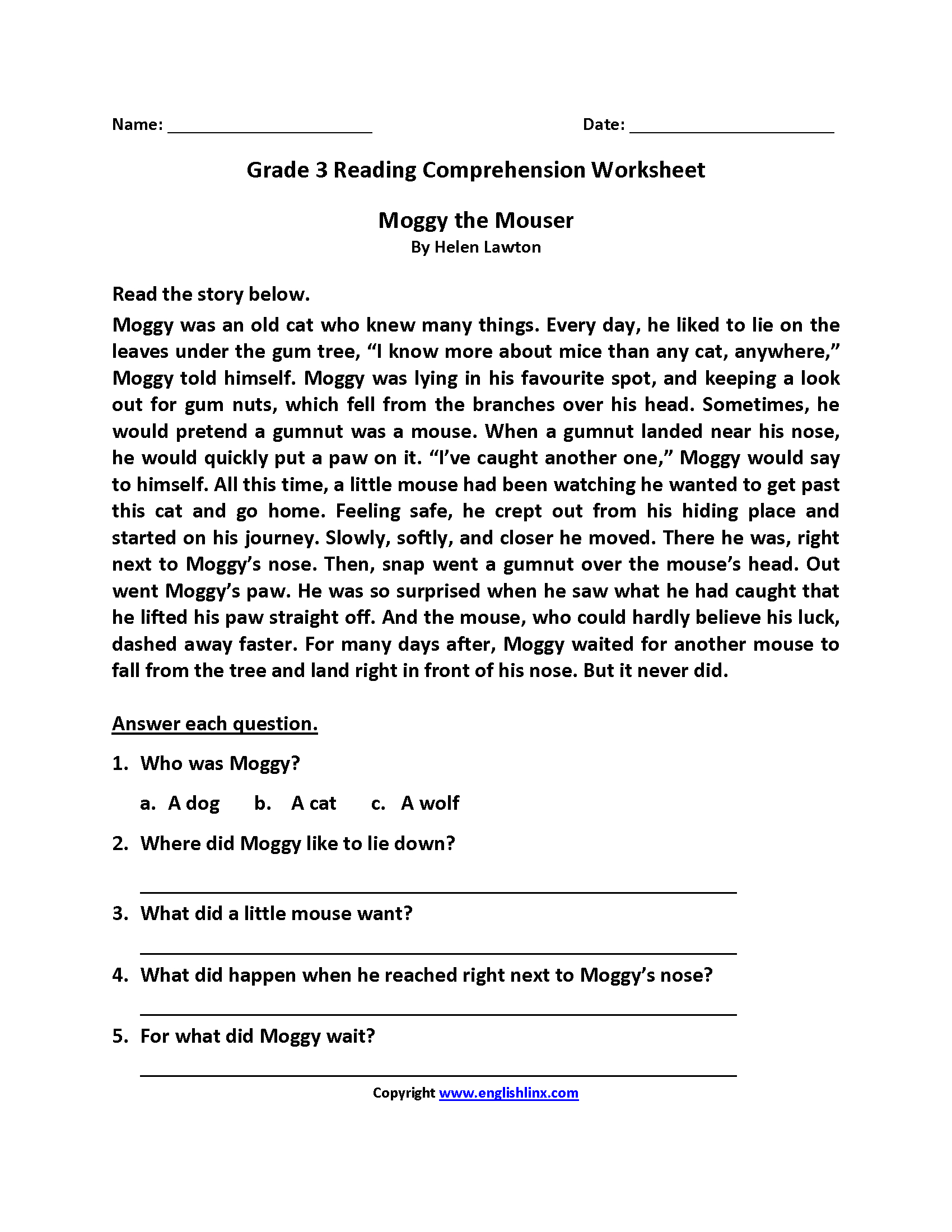 Reading Worksheets  Third Grade Reading Worksheets