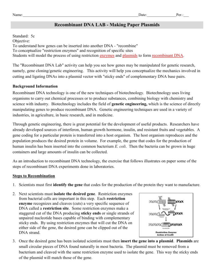 Recombinant Dna Activity