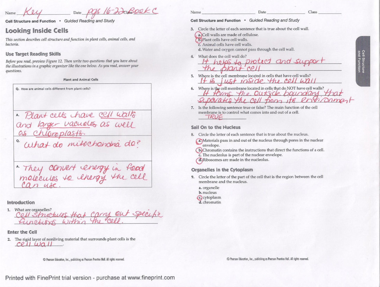 Recuperación  Ms Pati At Green Oaks