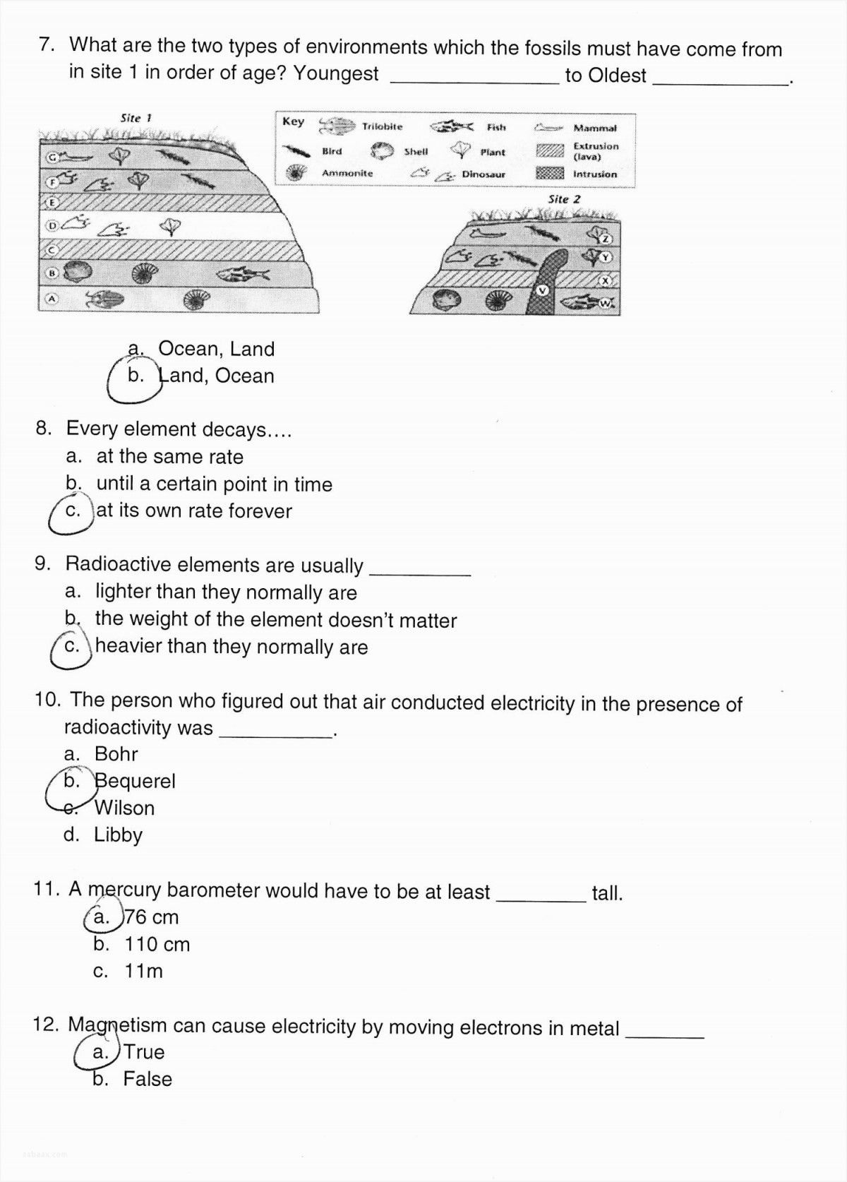 Relative Ages Of Rocks Worksheet Answers Db excel
