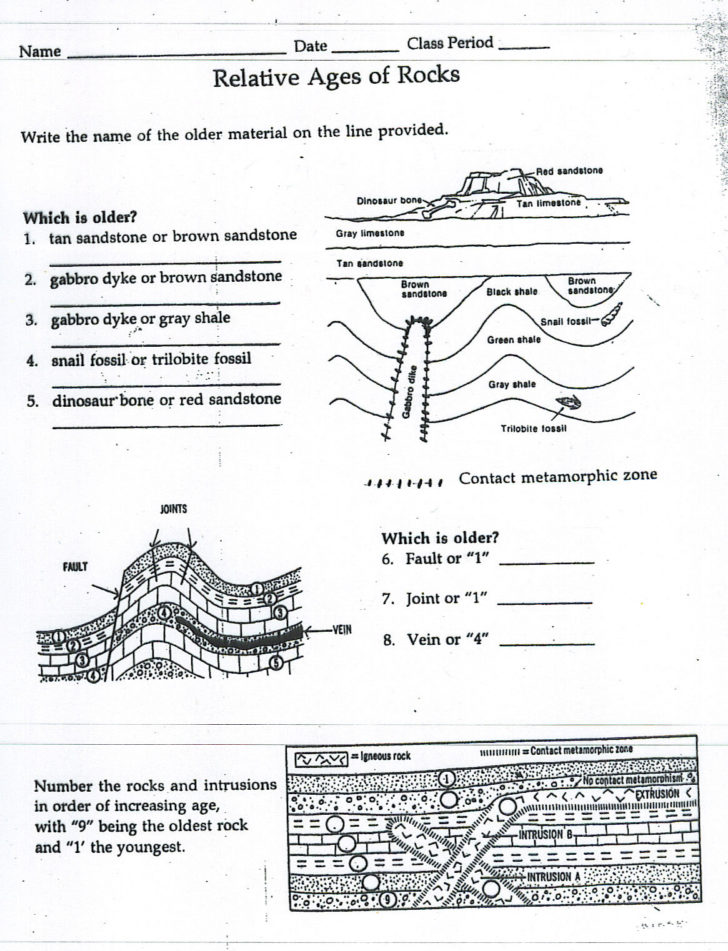 Relative Dating Worksheet Answer Key