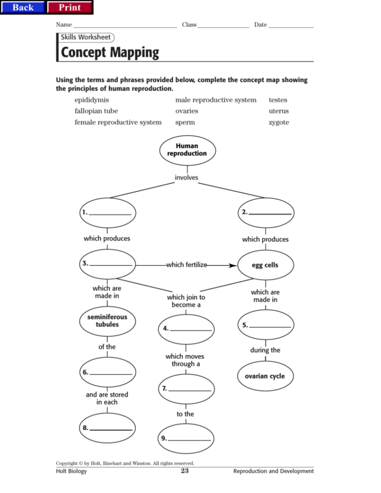 Reproconceptmap