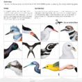 Resources – World Migratory Bird Day