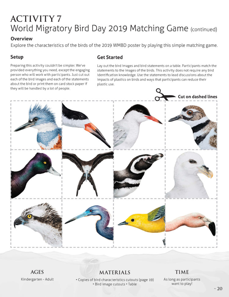 Resources – World Migratory Bird Day