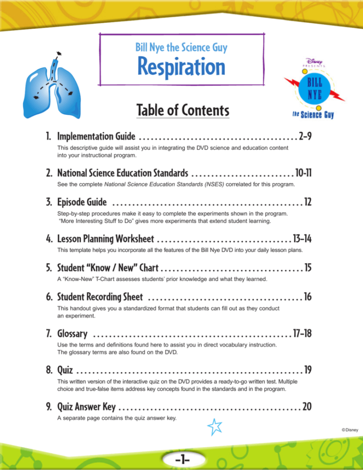 Bill Nye Brain Worksheet Answers