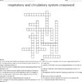 Respiratory And Circulatory System Crossword  Word