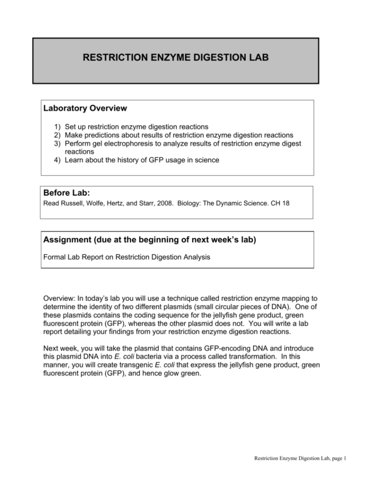 Restriction Enzyme Digestion Lab