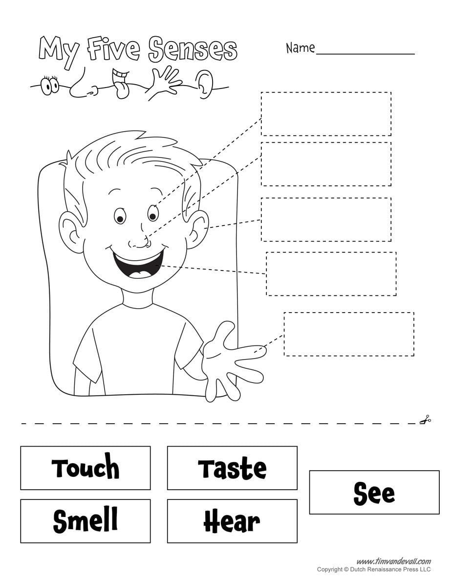 Result For Senses Preschool Printables Curriculum Pre