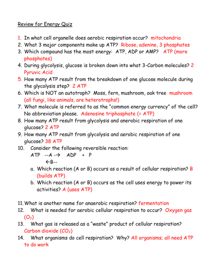 Review For Energy Quiz