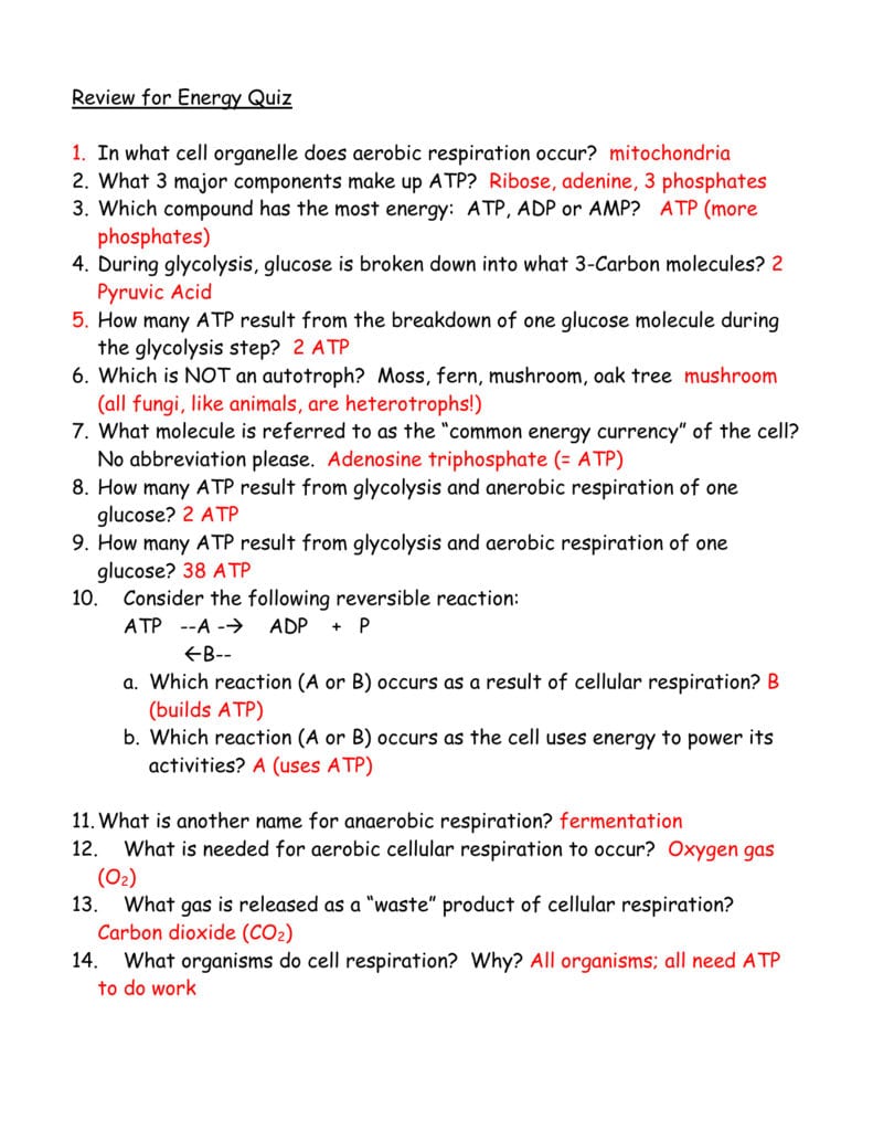 Review For Energy Quiz