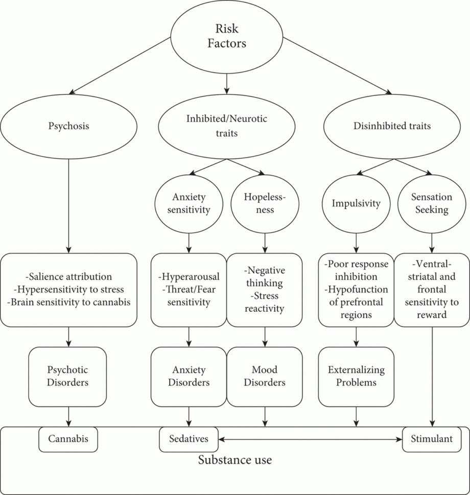 Review Of Cbt Treatments For Substance Use Disorders