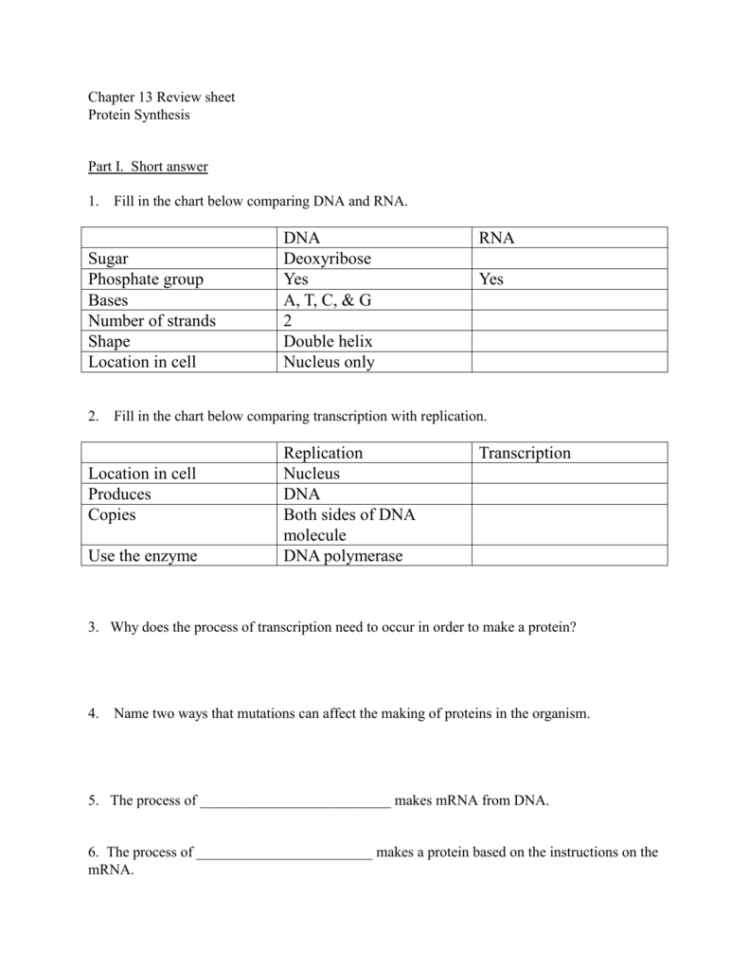 Review Sheet