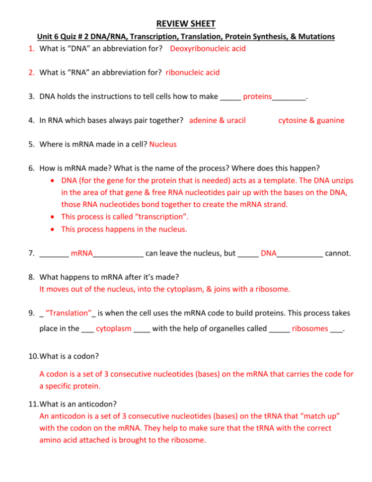Review Sheet Unit 6 Quiz  2 Dnarna Transcription