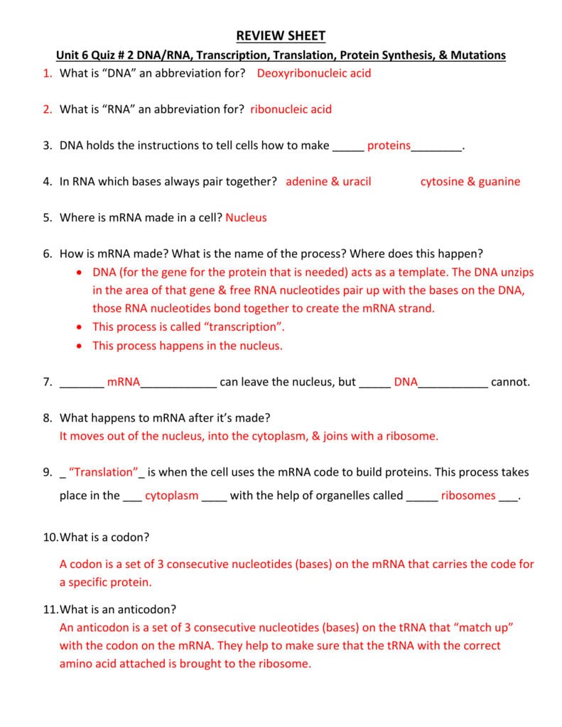 Review Sheet Unit 6 Quiz  2 Dnarna Transcription