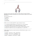 Rna And Gene Expression Worksheet Answers