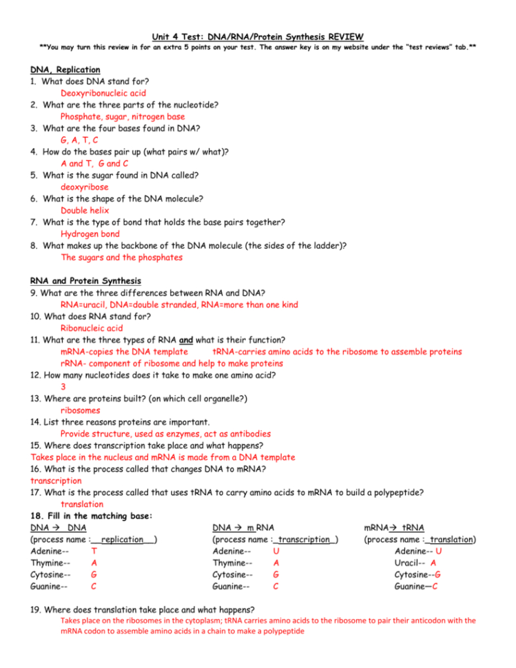 Protein Synthesis Review Worksheet Answers