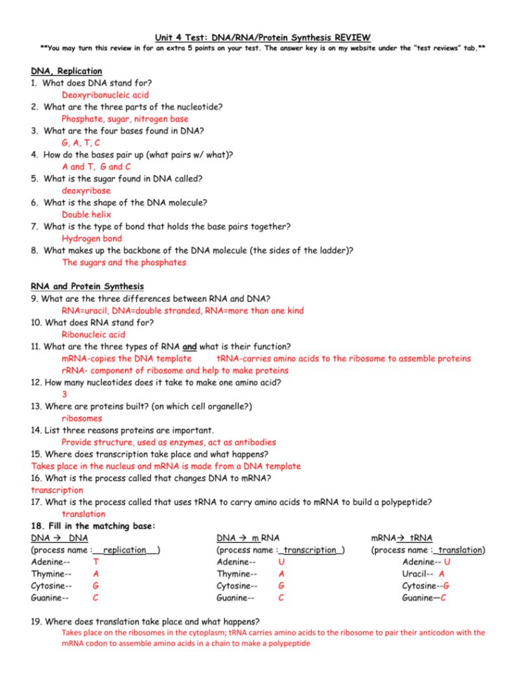 Dna Replication Worksheet Answer Key Quizlet - Dna Structure And