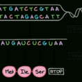 Rna And Protein Synthesis Review Article  Khan Academy