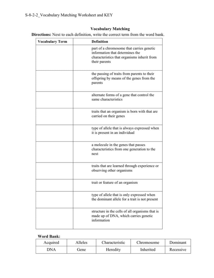 S822Vocabulary Matching Worksheet And Key Vocabulary