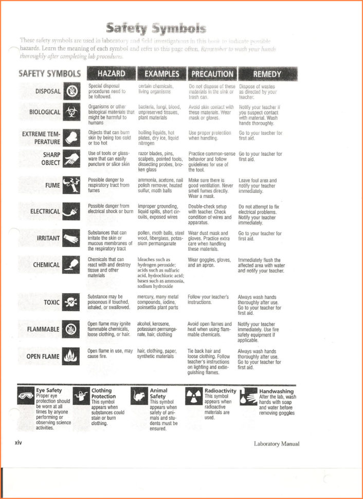 Safety Symbols Worksheet  Scriptclub