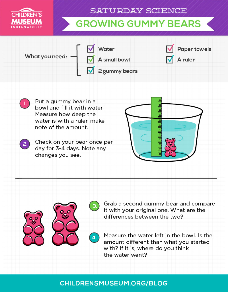 Saturday Science Growing Gummy Bears  The Children's