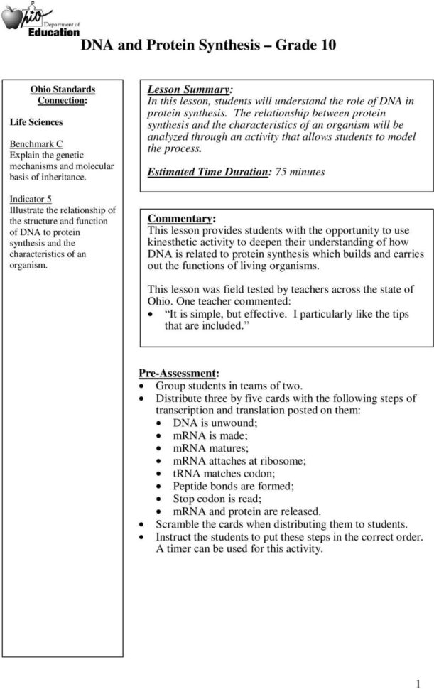 Say It With Dna Protein Synthesis Worksheet