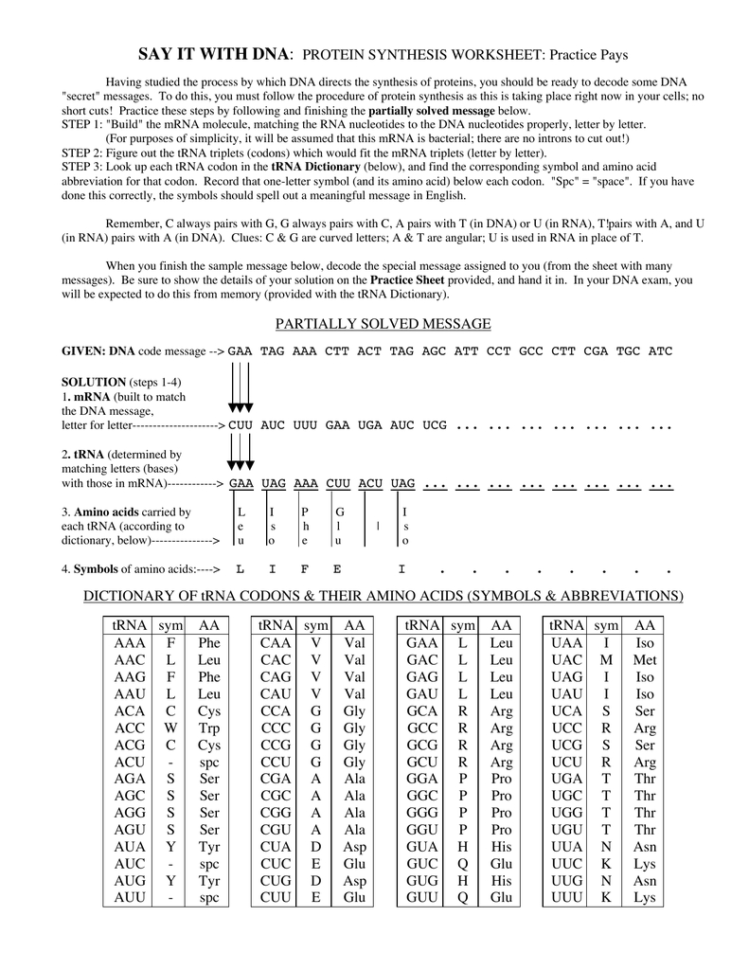 Say It With Dna Protein Synthesis Worksheet Practice