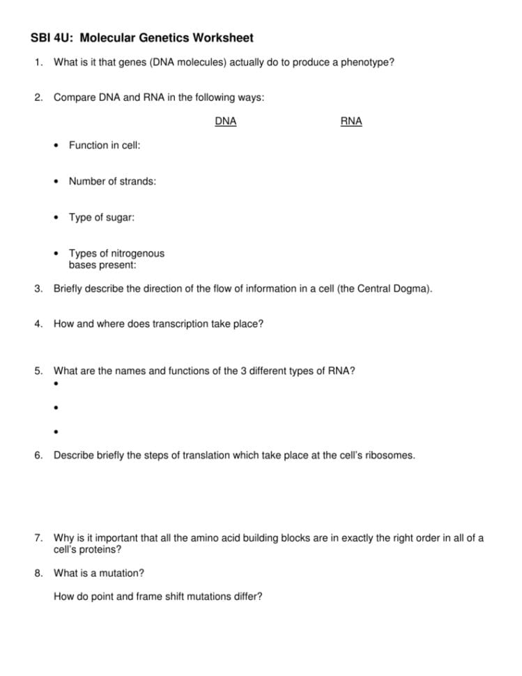 Sbi 4U Molecular Genetics Worksheet