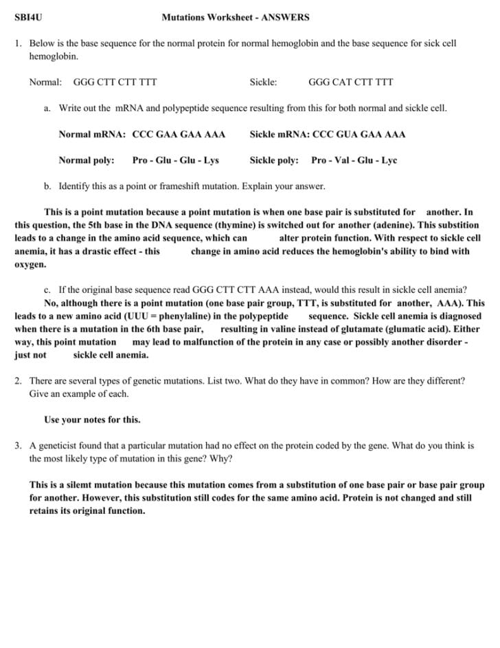 Genetic Mutations Worksheet Answers