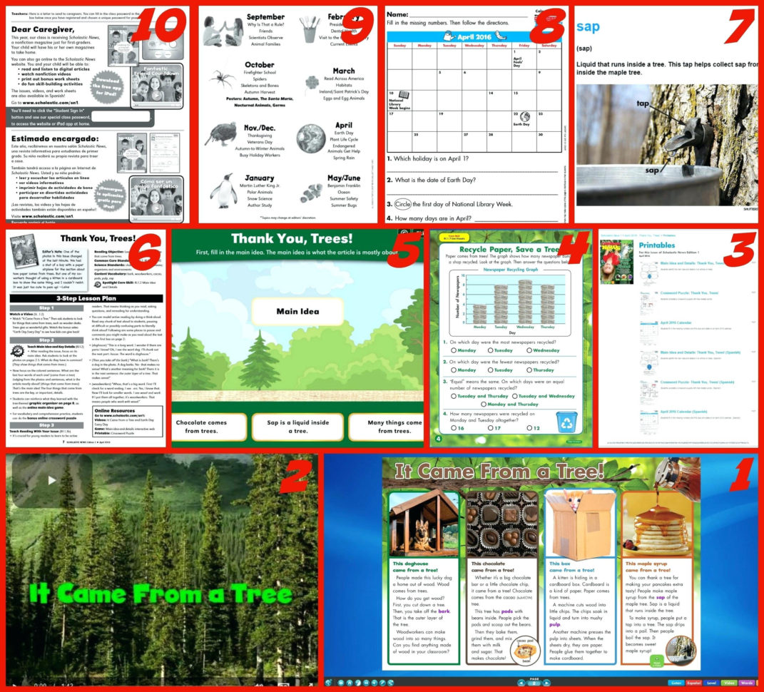 Scholastic Worksheets – Giftedpaperco
