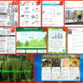 Scholastic Worksheets – Giftedpaperco
