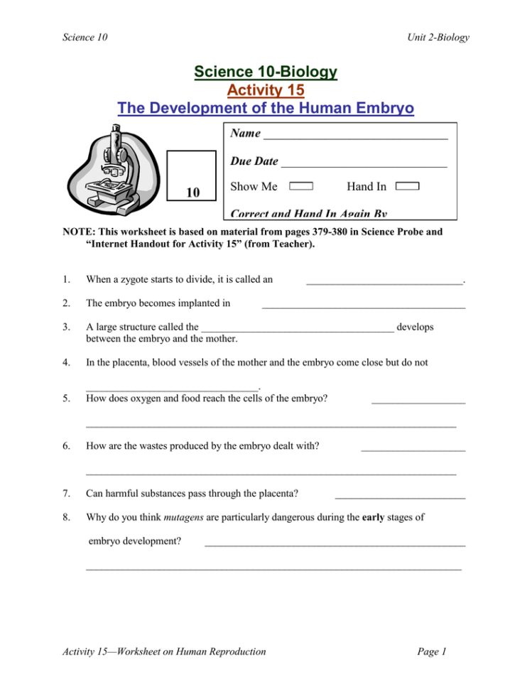 Science 10Biology Activity 15 The Development Of The Human