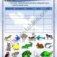 Science Animals Classification Updated W Key  Esl